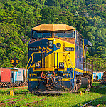 Click Here to see the photo!