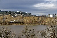 Click Here to see the photo!