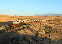 Click Here to see the photo!