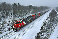 Click Here to see the photo!