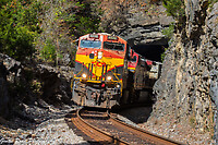 Click Here to see the photo!