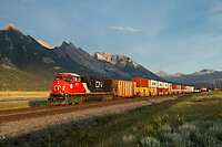 Click Here to see the photo!