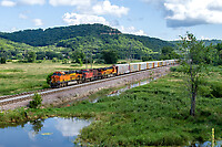 Click Here to see the photo!