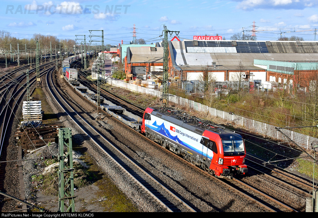 3050.1553597916.jpg