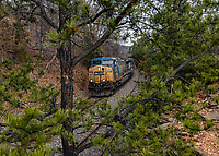 Click Here to see the photo!