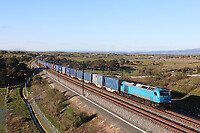 Click Here to see the photo!