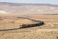 Click Here to see the photo!