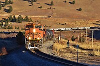 Click Here to see the photo!