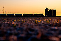 Click Here to see the photo!