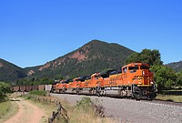 Click Here to see the photo!