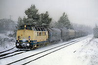 Click Here to see the photo!