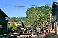 Click Here to see the photo!