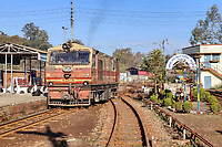 Click Here to see the photo!