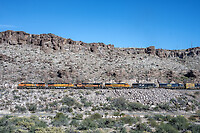 Click Here to see the photo!