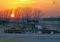 Click Here to see the photo!