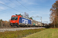 Click Here to see the photo!