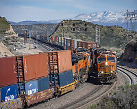 Click Here to see the photo!