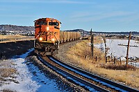 Click Here to see the photo!