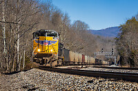 Click Here to see the photo!