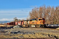 Click Here to see the photo!