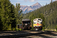 Click Here to see the photo!