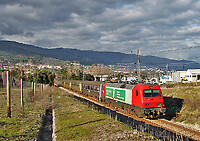 Click Here to see the photo!