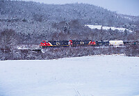 Click Here to see the photo!