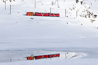 Click Here to see the photo!