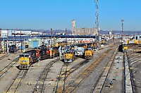 Click Here to see the photo!