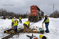 Click Here to see the photo!