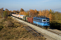 Click Here to see the photo!