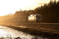 Click Here to see the photo!