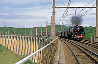 Click Here to see the photo!