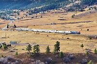 Click Here to see the photo!