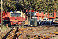 Click Here to see the photo!