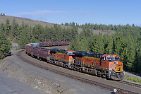 Click Here to see the photo!