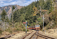 Click Here to see the photo!