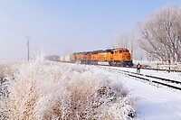 Click Here to see the photo!