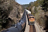 Click Here to see the photo!