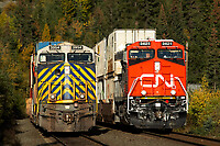 Click Here to see the photo!