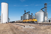 Click Here to see the photo!