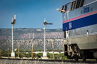 Click Here to see the photo!