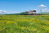 Click Here to see the photo!