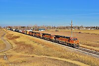 Click Here to see the photo!