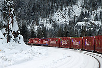 Click Here to see the photo!