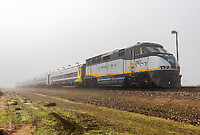 Click Here to see the photo!