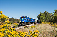 Click Here to see the photo!