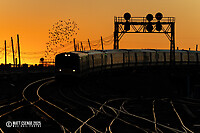 Click Here to see the photo!