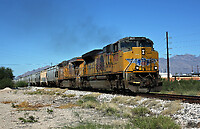 Click Here to see the photo!