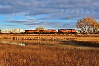 Click Here to see the photo!